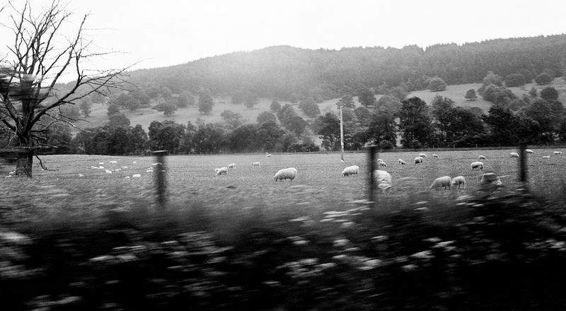 田園の夢株式会社 - Image 12