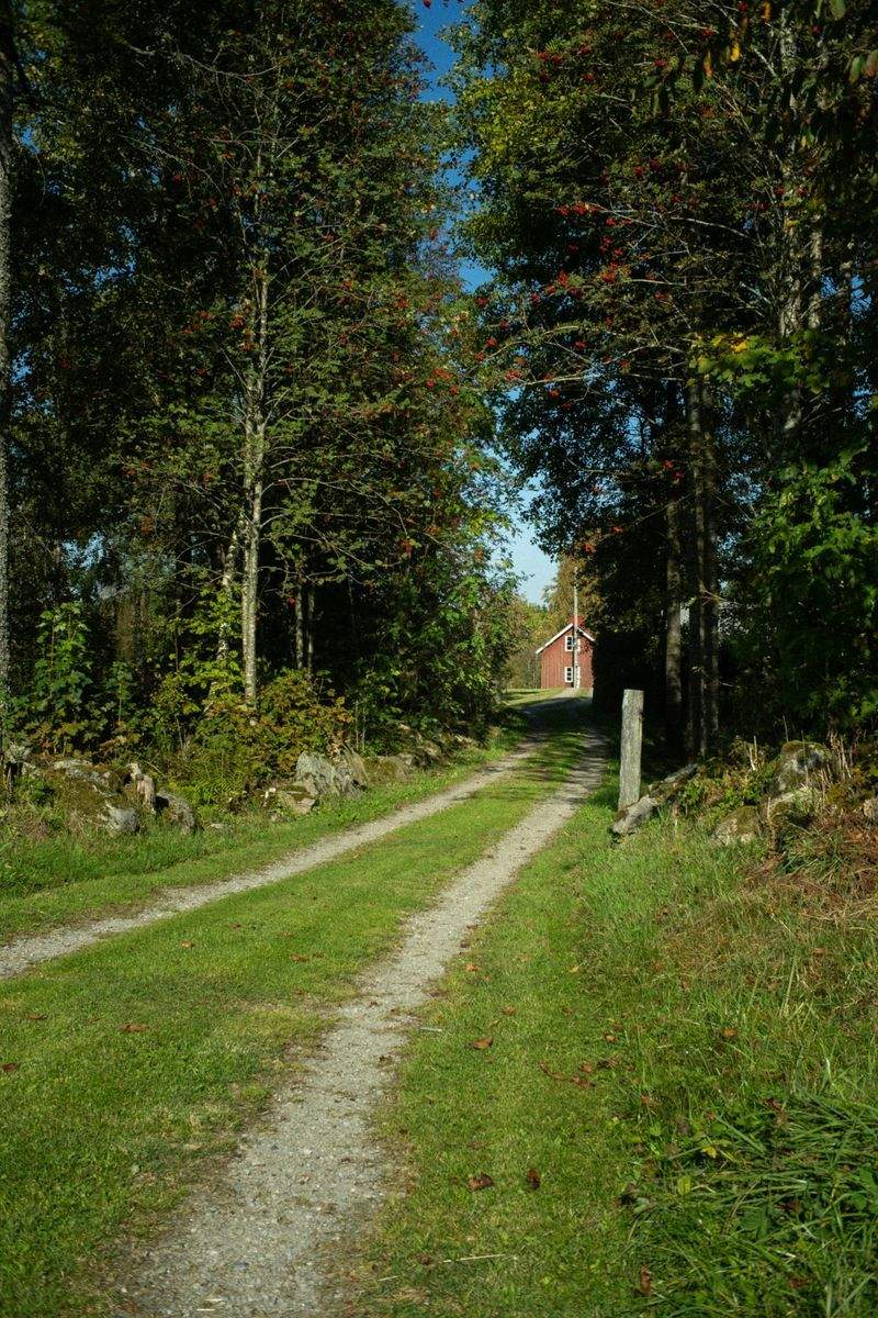 田園の夢株式会社 - Image 14