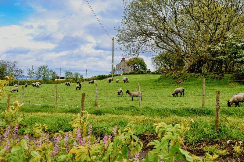 田園の夢株式会社 - Image 15