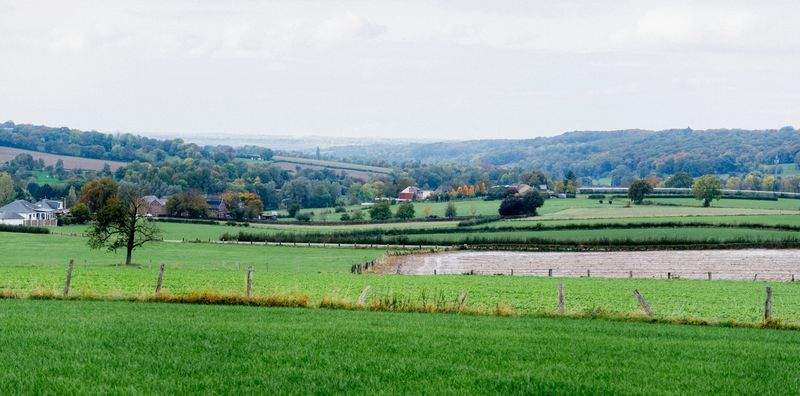 田園の夢株式会社 - Image 2