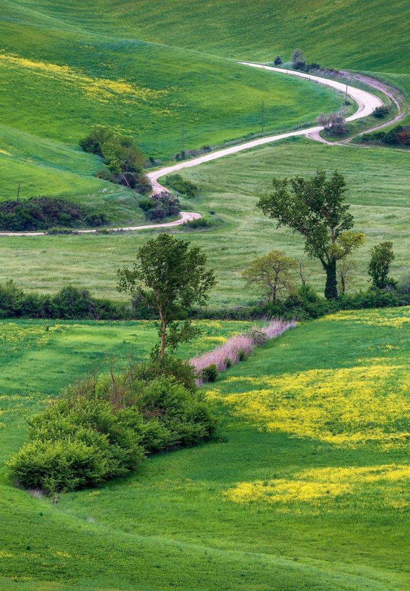 田園の夢株式会社 - Image 4