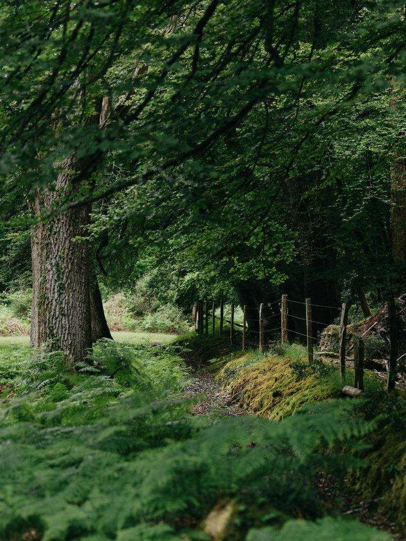 田園の夢株式会社 - Image 6