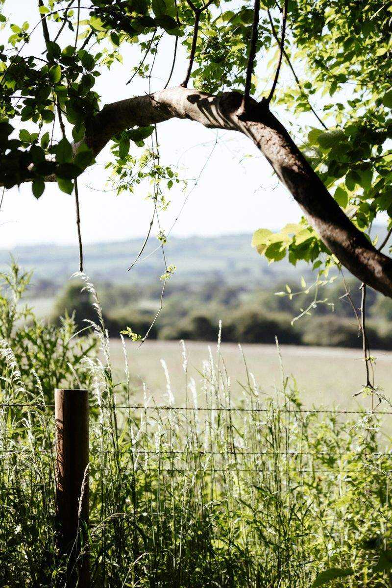 田園の夢株式会社 - Image 9